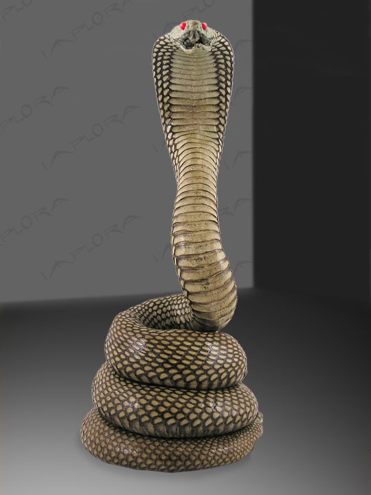 stuffed cobra snake